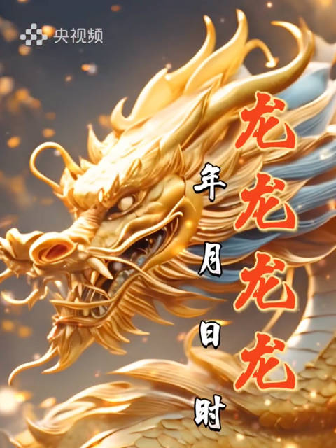 龙年龙月龙日龙时到