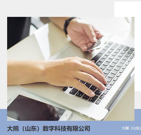 大熊集团启用daxiong.com！
