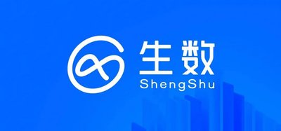 阿里系：生数科技重金拿下shengshu.com