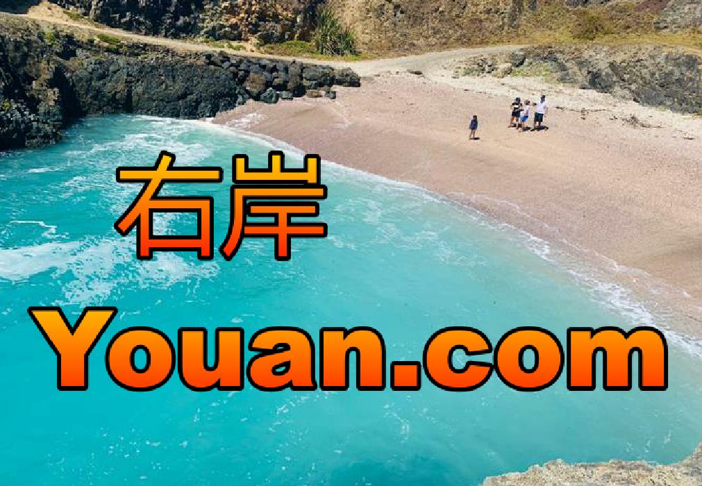 近日双拼域名 右岸Youan.com以14262美元 约合10万人民币成交！